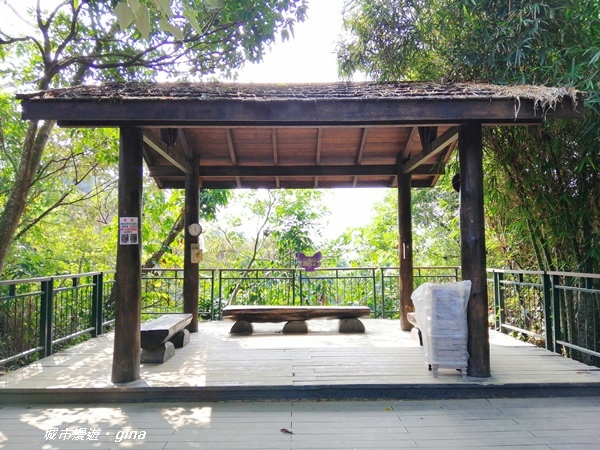 IMG_20201121_122125.jpg IMG_20201121_122125.jpg