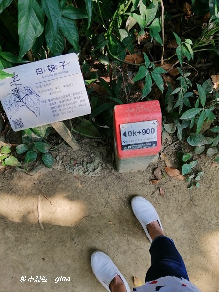 IMG_20201121_122217.jpg IMG_20201121_122217.jpg