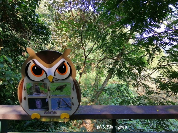 IMG_20201121_122524.jpg IMG_20201121_122524.jpg