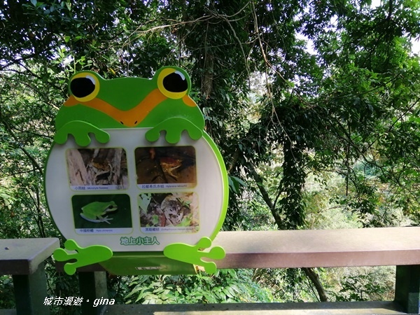 IMG_20201121_122707.jpg IMG_20201121_122707.jpg