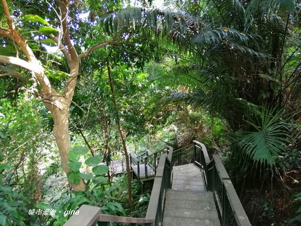 IMG_20201121_122441.jpg IMG_20201121_122441.jpg