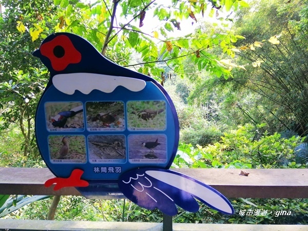 IMG_20201121_122757.jpg IMG_20201121_122757.jpg