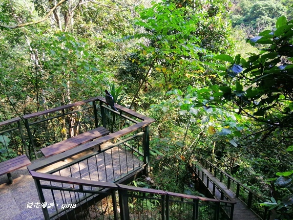 IMG_20201121_122746.jpg IMG_20201121_122746.jpg