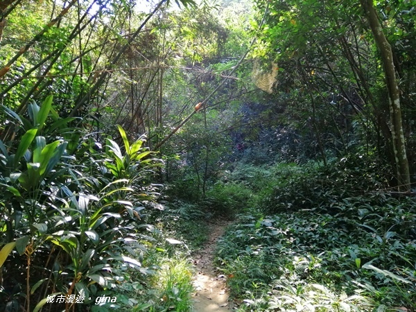 IMG_20201121_122912.jpg IMG_20201121_122912.jpg