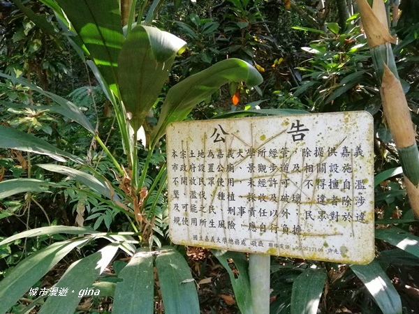 IMG_20201121_122934.jpg IMG_20201121_122934.jpg