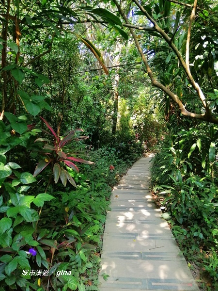 IMG_20201121_123006.jpg IMG_20201121_123006.jpg