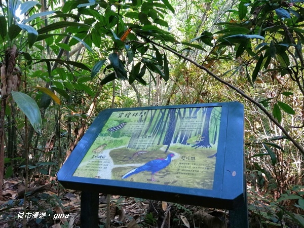 IMG_20201121_123239.jpg IMG_20201121_123239.jpg