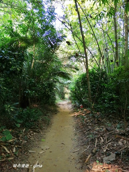 IMG_20201121_123241.jpg IMG_20201121_123241.jpg