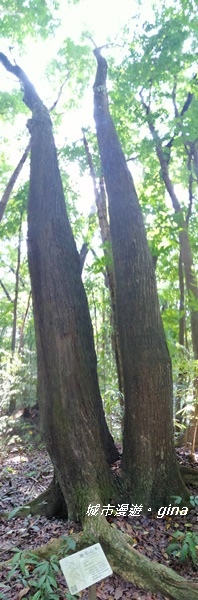 IMG_20201121_124229.jpg IMG_20201121_124229.jpg