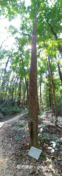 IMG_20201121_123630.jpg IMG_20201121_123630.jpg