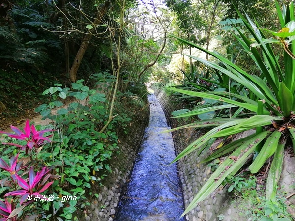 IMG_20201121_123347.jpg IMG_20201121_123347.jpg