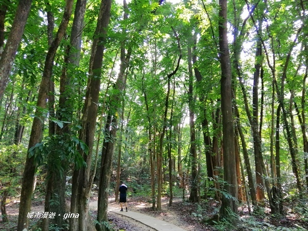 IMG_20201121_123705.jpg IMG_20201121_123705.jpg