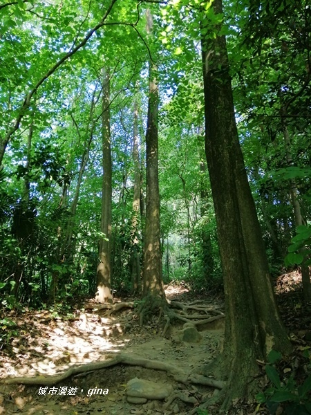 IMG_20201121_125333.jpg IMG_20201121_125333.jpg