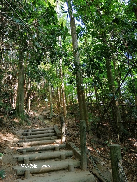 IMG_20201121_125641.jpg IMG_20201121_125641.jpg