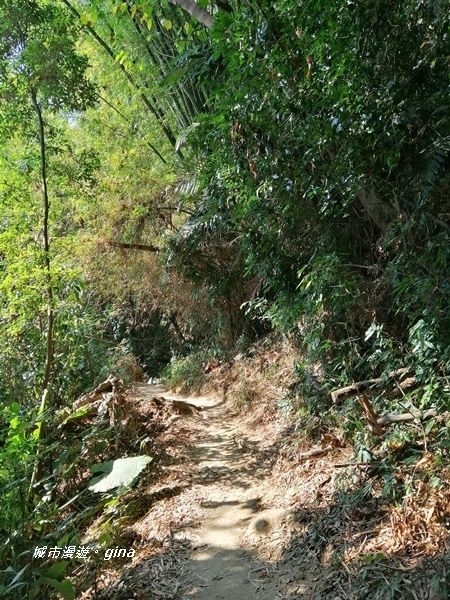 IMG_20201121_125738.jpg IMG_20201121_125738.jpg