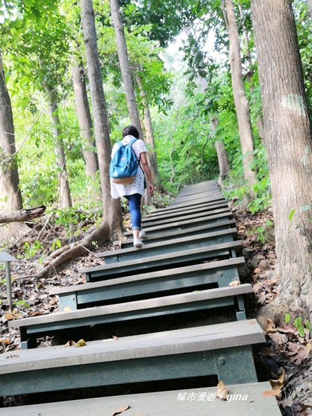 IMG_20201121_131509.jpg IMG_20201121_131509.jpg