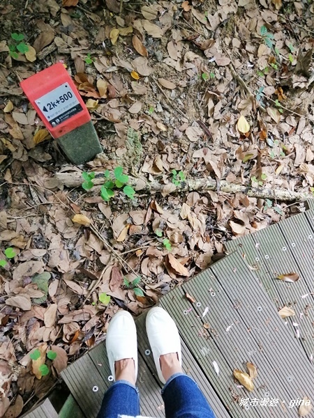 IMG_20201121_132009.jpg IMG_20201121_132009.jpg