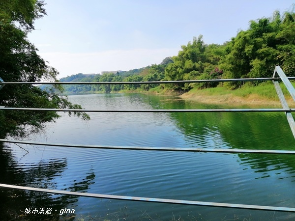 IMG_20201121_132309.jpg IMG_20201121_132309.jpg