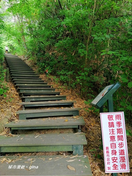 IMG_20201121_132133.jpg IMG_20201121_132133.jpg