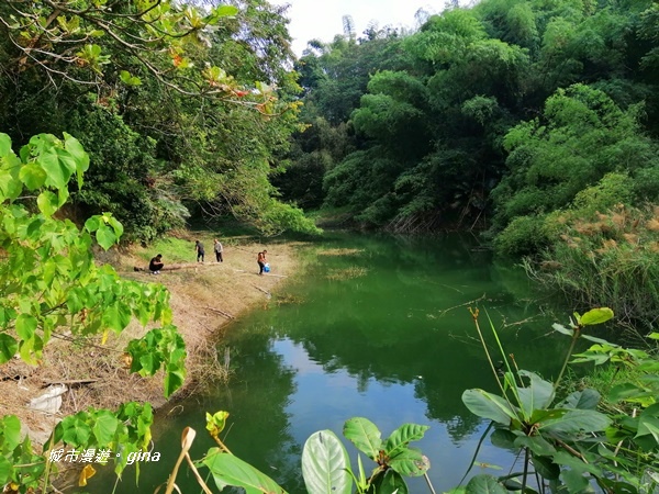 IMG_20201121_132230.jpg IMG_20201121_132230.jpg