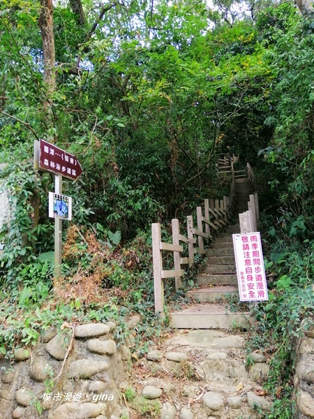 IMG_20201121_132449.jpg IMG_20201121_132449.jpg