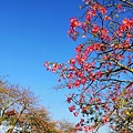 IMG_20201121_162504.jpg