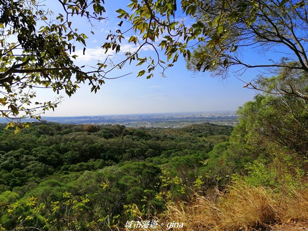 IMG_20201205_091103.jpg IMG_20201205_091103.jpg