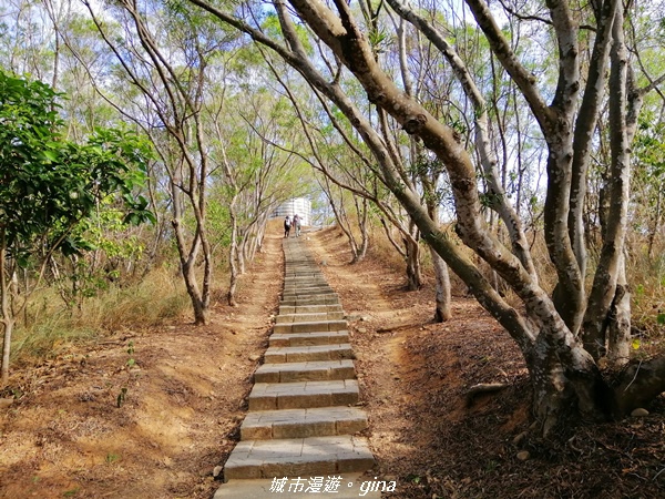 【台中大肚】風和日麗健行趣。 大肚萬里長城登山步道