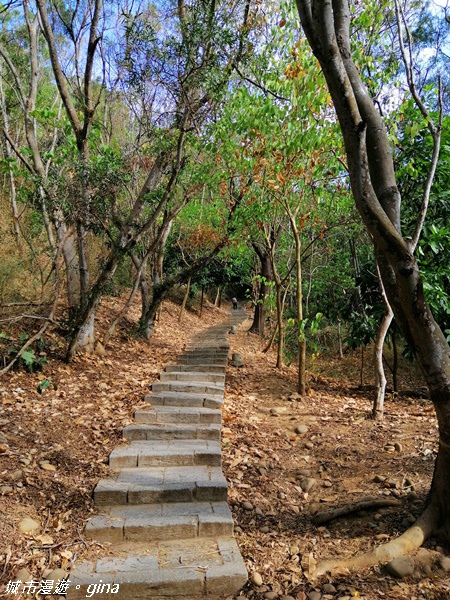 【台中大肚】風和日麗健行趣。 大肚萬里長城登山步道