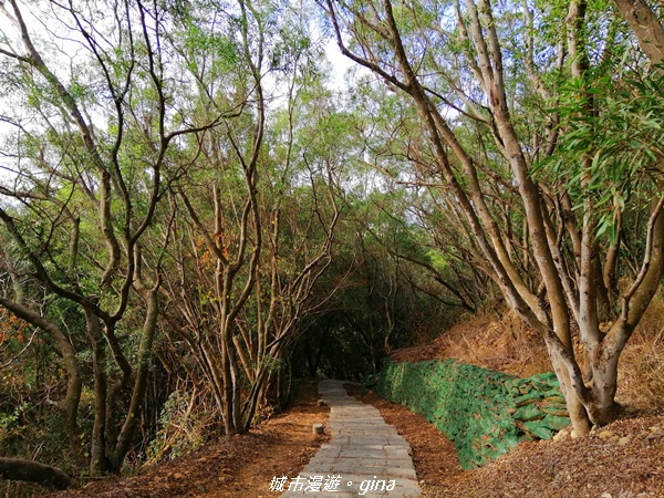 【台中大肚】風和日麗健行趣。 大肚萬里長城登山步道