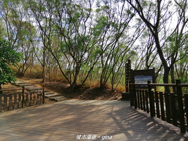 IMG_20201205_092923.jpg IMG_20201205_092923.jpg