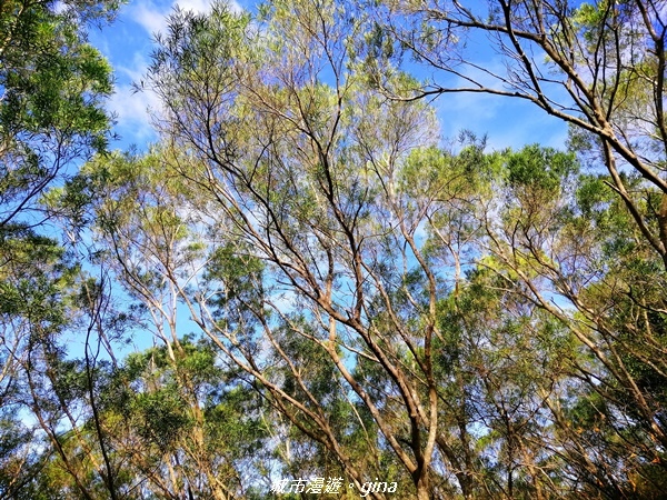 IMG_20201205_092904.jpg IMG_20201205_092904.jpg