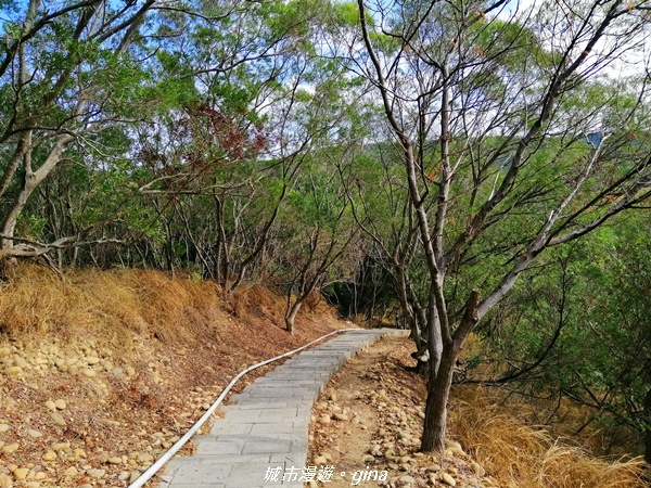 IMG_20201205_093509.jpg IMG_20201205_093509.jpg