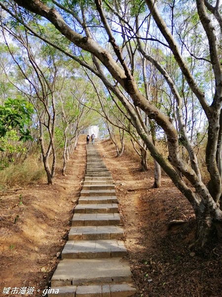 IMG_20201205_092731.jpg IMG_20201205_092731.jpg