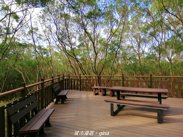 IMG_20201205_093315.jpg IMG_20201205_093315.jpg