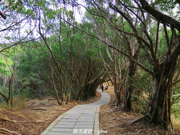 IMG_20201205_093920.jpg IMG_20201205_093920.jpg