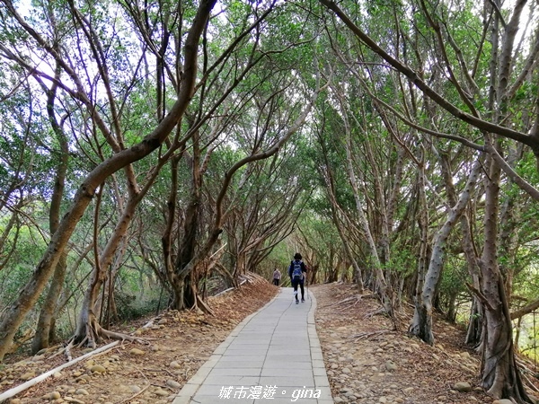 IMG_20201205_093839.jpg IMG_20201205_093839.jpg