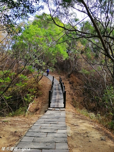 IMG_20201205_094418.jpg IMG_20201205_094418.jpg