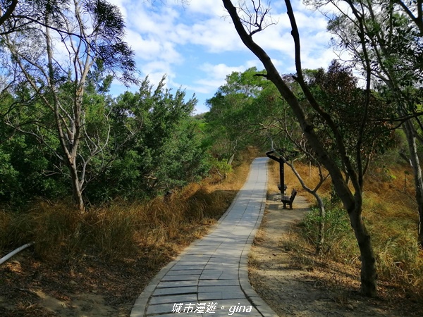 IMG_20201205_095425.jpg IMG_20201205_095425.jpg