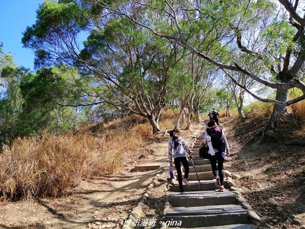 IMG_20201205_100826.jpg IMG_20201205_100826.jpg