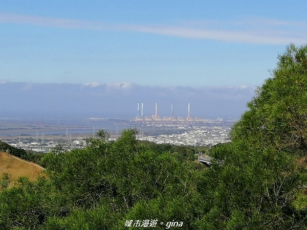 IMG_20201205_102930.jpg IMG_20201205_102930.jpg