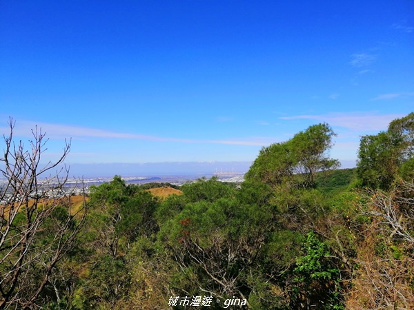 IMG_20201205_102920.jpg IMG_20201205_102920.jpg