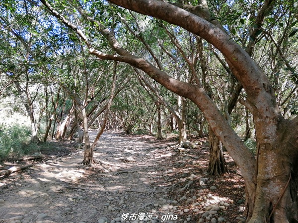 IMG_20201205_110719.jpg IMG_20201205_110719.jpg