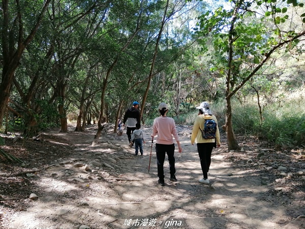 IMG_20201205_110726.jpg IMG_20201205_110726.jpg