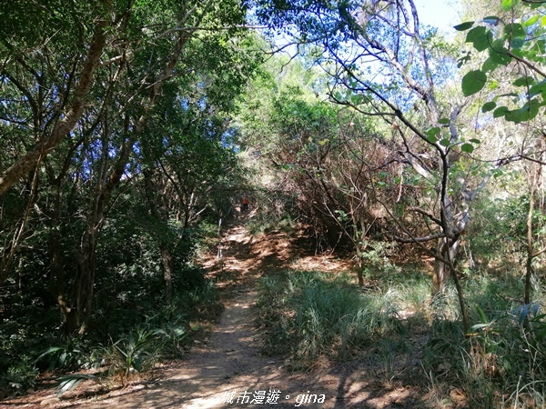 IMG_20201205_111315.jpg IMG_20201205_111315.jpg