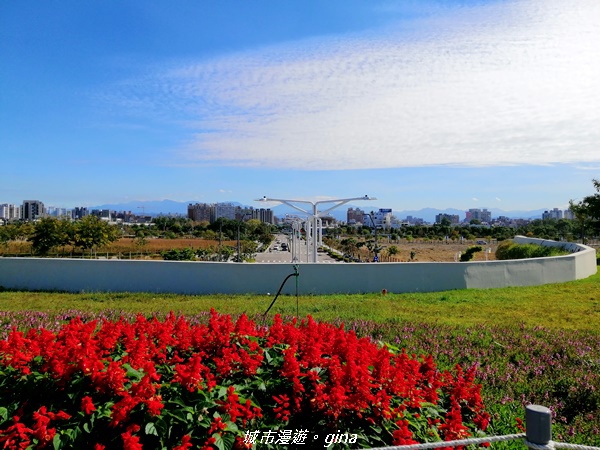 【台中北屯】城市綠肺之需要腳勤。 台中中央公園