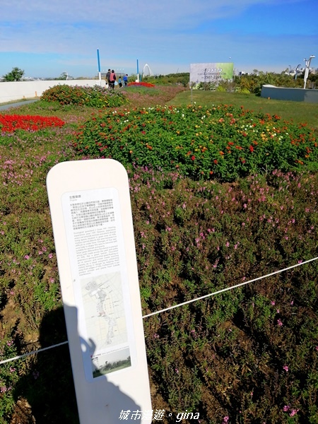 【台中北屯】城市綠肺之需要腳勤。 台中中央公園