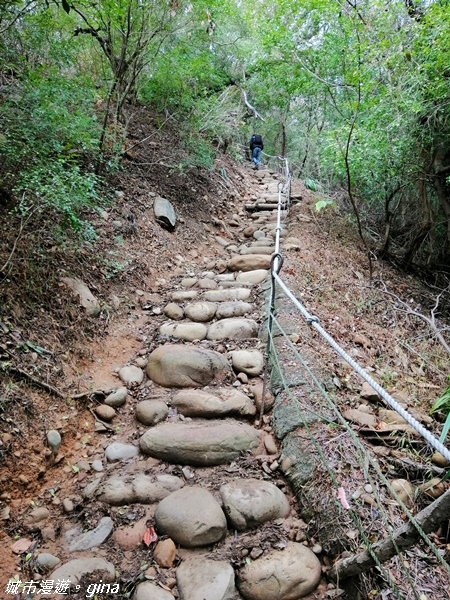 IMG_20201210_104655.jpg