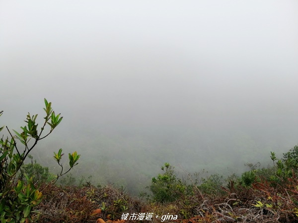 【苗栗三義】拍照要遠離懸崖邊~美景只能遠觀。 No35小百岳