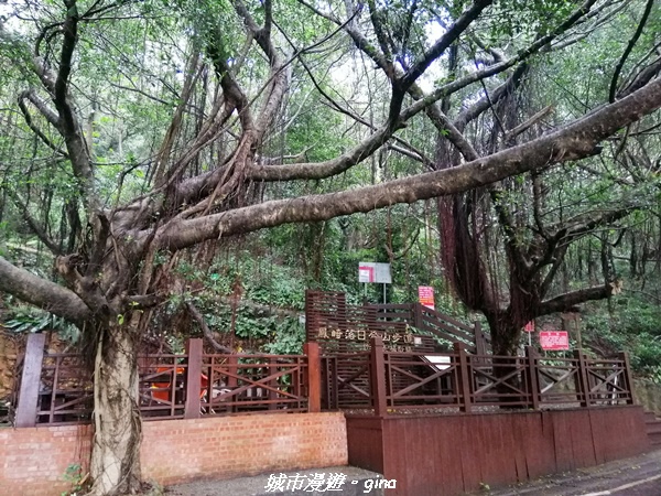 【新竹竹北】台灣百大必訪步道。 鳳崎落日登山步道